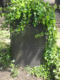 image of grave number 256431